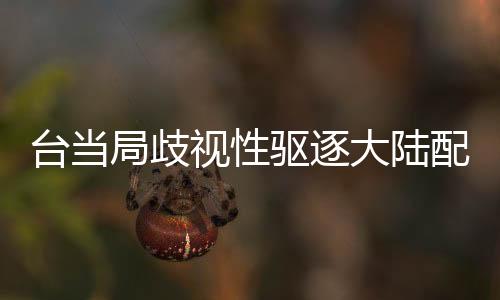 臺(tái)當(dāng)局歧視性驅(qū)逐大陸配偶，深度分析與觀察