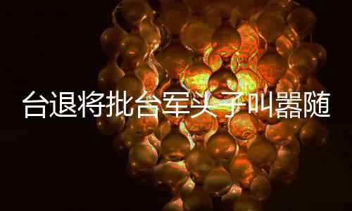 臺(tái)退將批臺(tái)軍頭子叫囂隨時(shí)備戰(zhàn)，深度分析與觀察