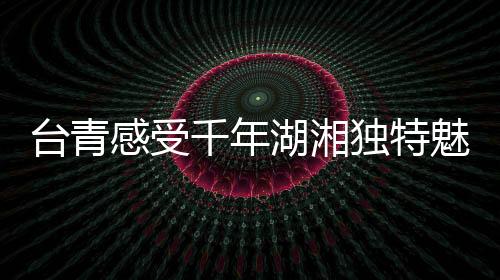 臺青感受千年湖湘獨特魅力