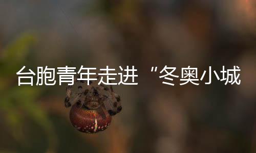 臺胞青年走進“冬奧小城”崇禮  共享冰雪激情