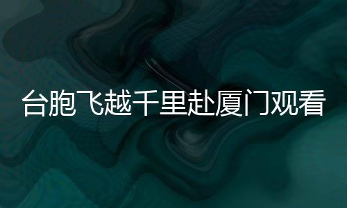 臺(tái)胞飛越千里赴廈門(mén)觀看哪吒2，兩岸文化交流的新篇章