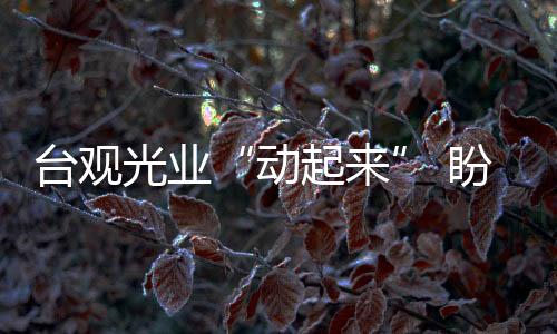 臺觀光業(yè)“動起來” 盼農(nóng)歷新年后迎陸客