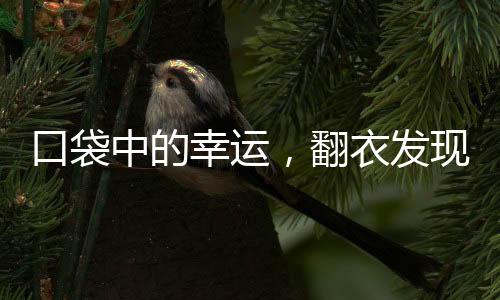 口袋中的幸運(yùn)，翻衣發(fā)現(xiàn)巨額彩票，贏得1800萬大獎