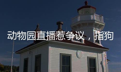 動(dòng)物園直播惹爭(zhēng)議，指狗為虎事件揭秘，園方回應(yīng)