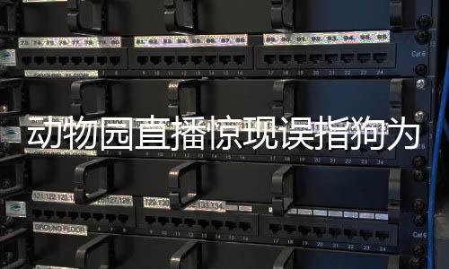 動(dòng)物園直播驚現(xiàn)誤指狗為虎事件