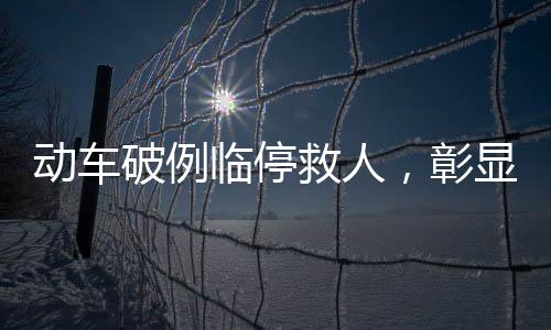 動車破例臨停救人，彰顯人道關懷與社會責任擔當