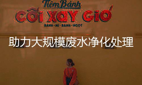 助力大規(guī)模廢水凈化處理 中國團隊研究提出“變廢為寶”新方法