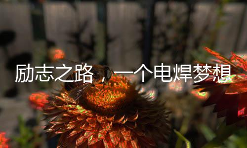 勵(lì)志之路，一個(gè)電焊夢(mèng)想的光芒，零零后月入超萬的逆襲之路