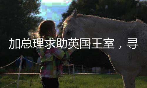 加總理求助英國王室，尋求國際支持與合作共贏