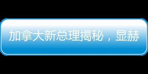 加拿大新總理揭秘，顯赫背景與未來展望