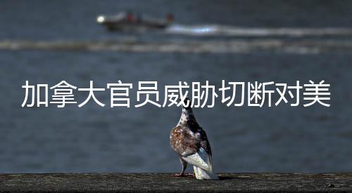 加拿大官員威脅切斷對(duì)美電力供應(yīng)，兩國(guó)能源關(guān)系面臨嚴(yán)峻挑戰(zhàn)