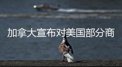 加拿大宣布對美國部分商品征收25%關(guān)稅，影響與后續(xù)分析