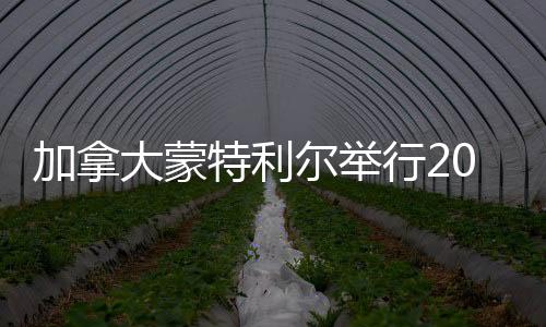 加拿大蒙特利爾舉行2025“歡樂西島”多元文化春晚