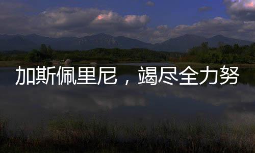 加斯佩里尼，竭盡全力努力贏得意甲冠軍