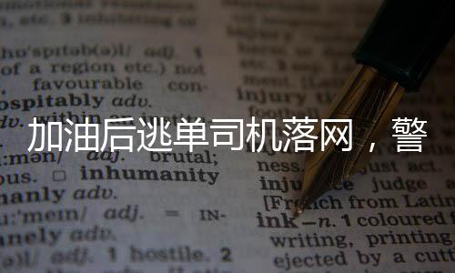 加油后逃單司機落網(wǎng)，警方迅速行動揭示事件真相