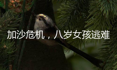 加沙危機，八歲女孩逃難中失去秀發(fā)，折射出的苦難與挑戰(zhàn)