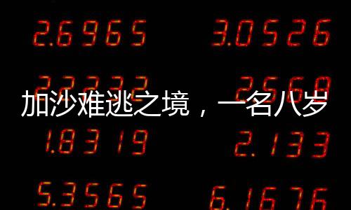 加沙難逃之境，一名八歲女孩的辛酸歷程