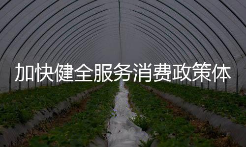 加快健全服務(wù)消費政策體系