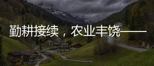 勤耕接續(xù)，農(nóng)業(yè)豐饒——當(dāng)代農(nóng)村振興之路的深刻洞察