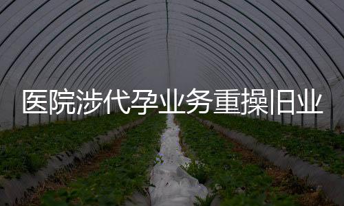 醫(yī)院涉代孕業(yè)務(wù)重操舊業(yè)，倫理、法律及監(jiān)管之探討