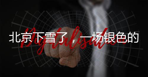 北京下雪了，一場銀色的冬之盛宴