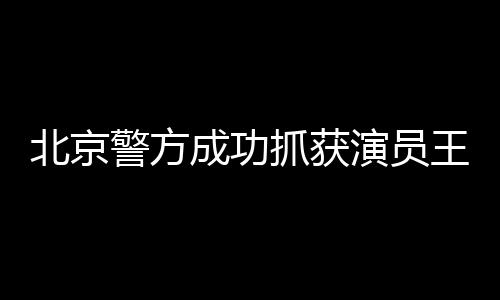北京警方成功抓獲演員王某，打破演藝圈黑暗內(nèi)幕