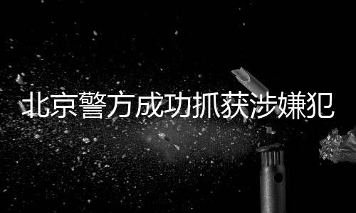 北京警方成功抓獲涉嫌犯罪演員王某