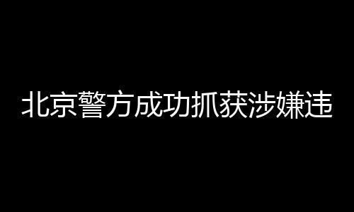 北京警方成功抓獲涉嫌違法演員王某，引發(fā)社會關(guān)注