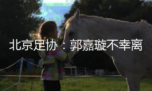 北京足協(xié)：郭嘉璇不幸離世 已組織專(zhuān)家分析訓(xùn)練賽視頻