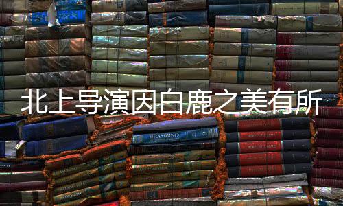 北上導(dǎo)演因白鹿之美有所顧慮——幕后故事深度解讀