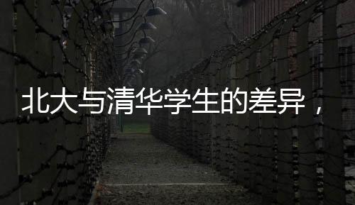 北大與清華學(xué)生的差異，深入解析兩校獨(dú)特的文化特質(zhì)