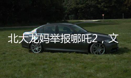 北大龍媽舉報哪吒2，文化產品與道德底線的爭議