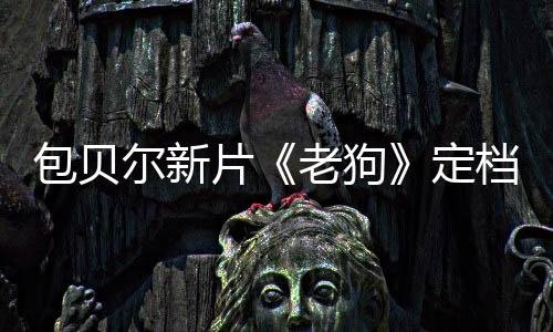 包貝爾新片《老狗》定檔3月14日！搭檔姜武包貝爾演繹血色東北往事！