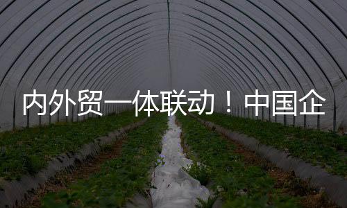 內(nèi)外貿(mào)一體聯(lián)動！中國企業(yè)集體出手