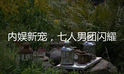 內(nèi)娛新寵，七人男團(tuán)閃耀登場(chǎng)，新一代偶像力量的匯聚