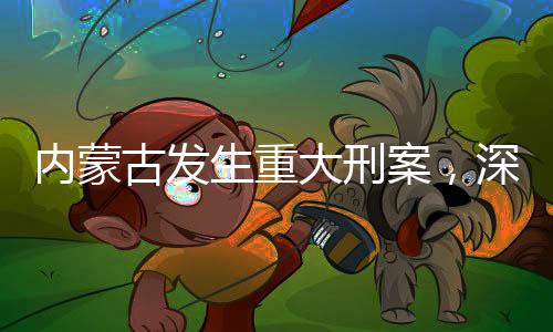 內(nèi)蒙古發(fā)生重大刑案，深度分析與反思
