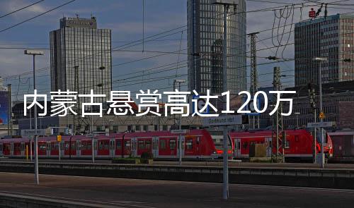 內(nèi)蒙古懸賞高達120萬，尋找關鍵線索以解開懸而未決的十二起命案真相揭秘之旅！警方聯(lián)手社會力量開啟新一輪命案攻堅行動，守護邊疆百姓平安生活！誠邀社會各界的目光聚焦于這場全民偵查活動。警方特別征集民意及線索，全力打擊犯罪活動，以實際行動捍衛(wèi)法治權(quán)威，讓人民群眾感受到實實在在的公平正義。接下來，讓我們通過一二三四五六七八九十的九個數(shù)字來解讀此次行動的相關內(nèi)容。