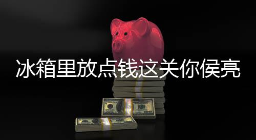 冰箱里放點錢這關你侯亮平屁事