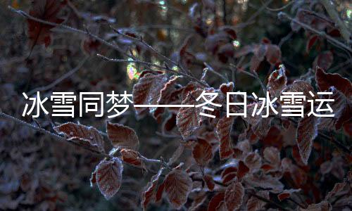 冰雪同夢——冬日冰雪運動的盛況與熱情之夢