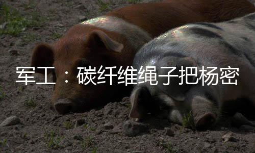 軍工：碳纖維繩子把楊密綁成花