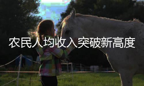 農(nóng)民人均收入突破新高度，分析鄉(xiāng)村經(jīng)濟(jì)發(fā)展的亮點(diǎn)與挑戰(zhàn)