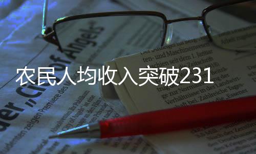農(nóng)民人均收入突破23119元，農(nóng)村繁榮的新篇章
