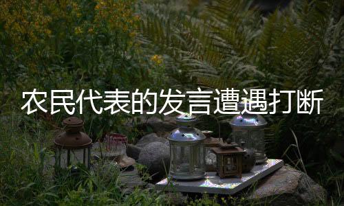 農(nóng)民代表的發(fā)言遭遇打斷，話語(yǔ)權(quán)的尊重與基層聲音的思考