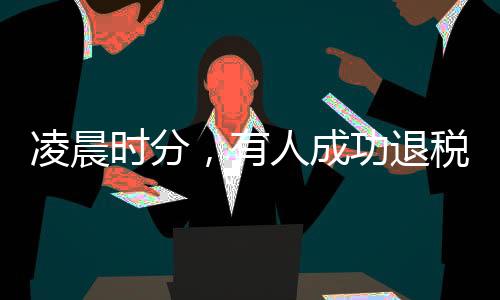 凌晨時分，有人成功退稅五萬多元，揭秘退稅流程與個人經(jīng)歷