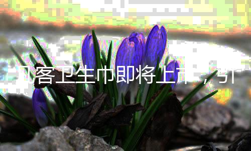 凡客衛(wèi)生巾即將上市，引領(lǐng)個人護理新篇章