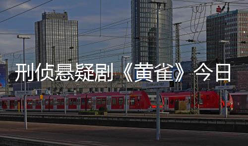 刑偵懸疑劇《黃雀》今日播出 秦嵐顛覆出演黎小蓮掀反扒疑案
