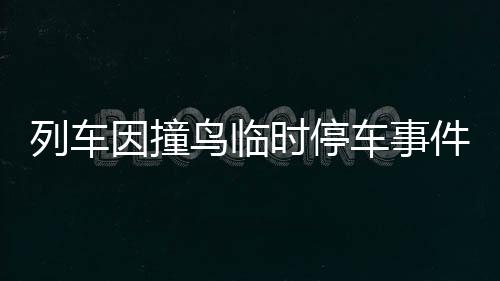 列車因撞鳥臨時(shí)停車事件，現(xiàn)場(chǎng)情況與反思