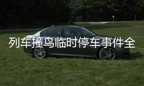 列車撞鳥臨時(shí)停車事件全面解析