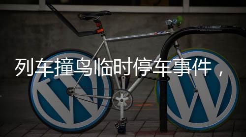 列車撞鳥臨時停車事件，鐵路部門誠懇致歉