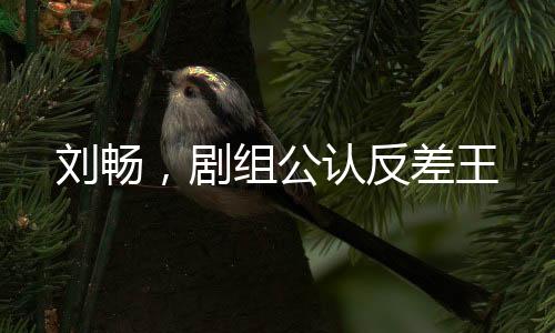 劉暢，劇組公認(rèn)反差王